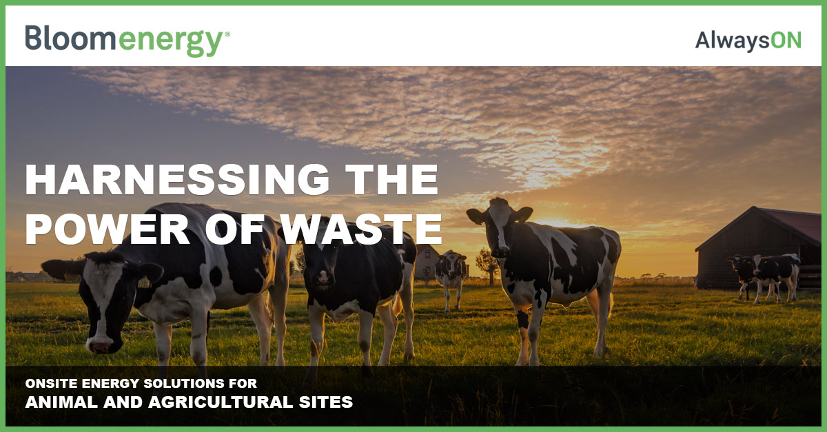 Landing page banner image - agriculture